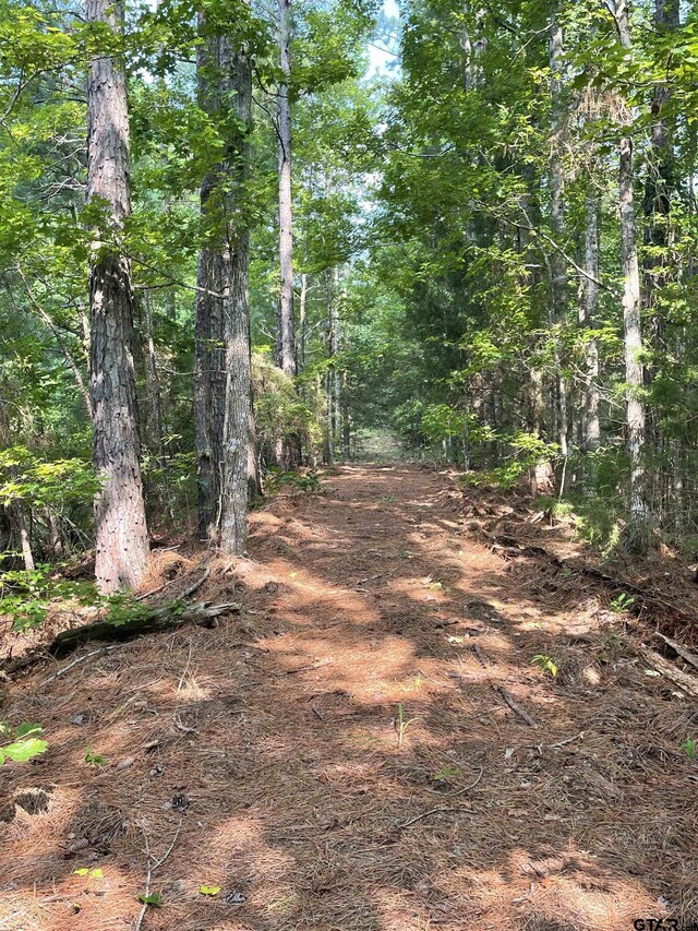 TBD County Road 4559, Winnsboro, TX 75494 - photo 6