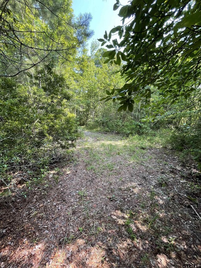 TBD County Road 4559, Winnsboro, TX 75494 - photo 5