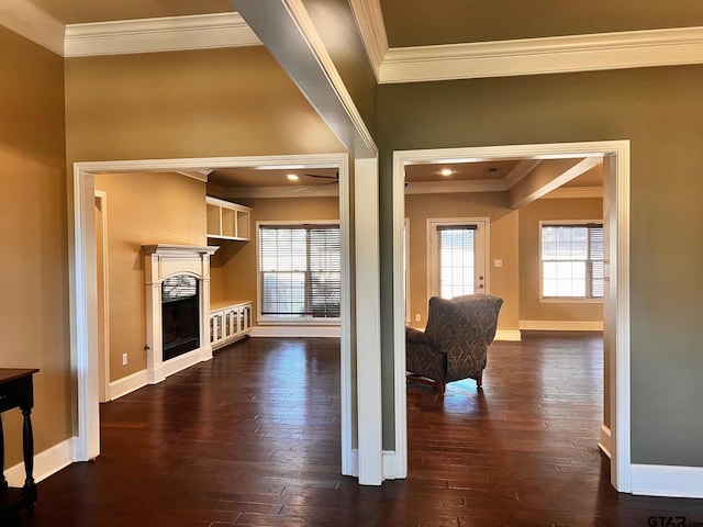 interior space featuring ornamental molding, plenty of natural light, and dark hardwood / wood-style floors