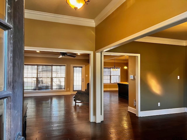 interior space with ceiling fan with notable chandelier, dark hardwood / wood-style floors, and crown molding