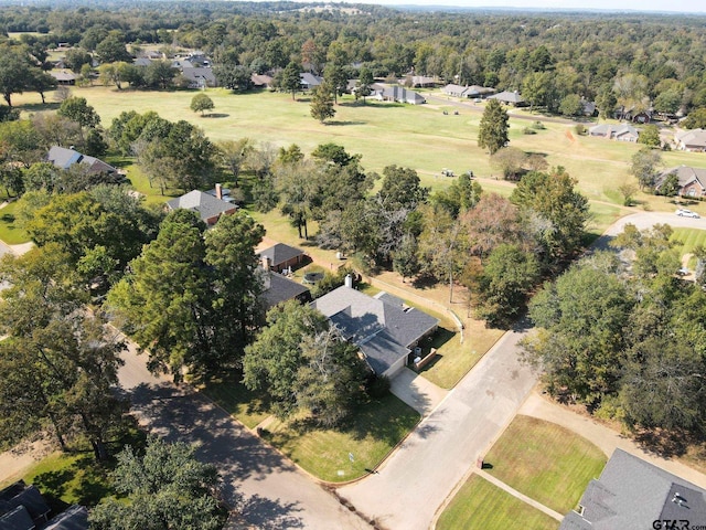 bird's eye view