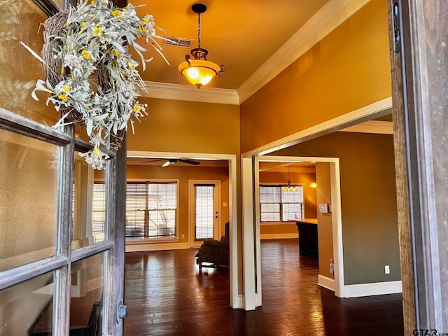 foyer featuring ceiling fan, dark hardwood / wood-style floors, and ornamental molding