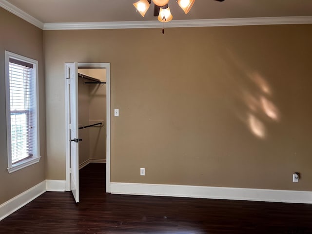 unfurnished bedroom featuring dark hardwood / wood-style flooring, ornamental molding, ceiling fan, a closet, and a spacious closet