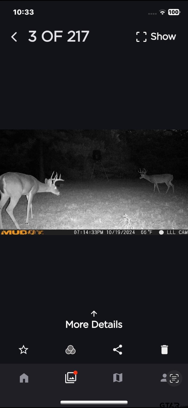2008 Crk 3230, Quitman, TX 75783 - photo 22