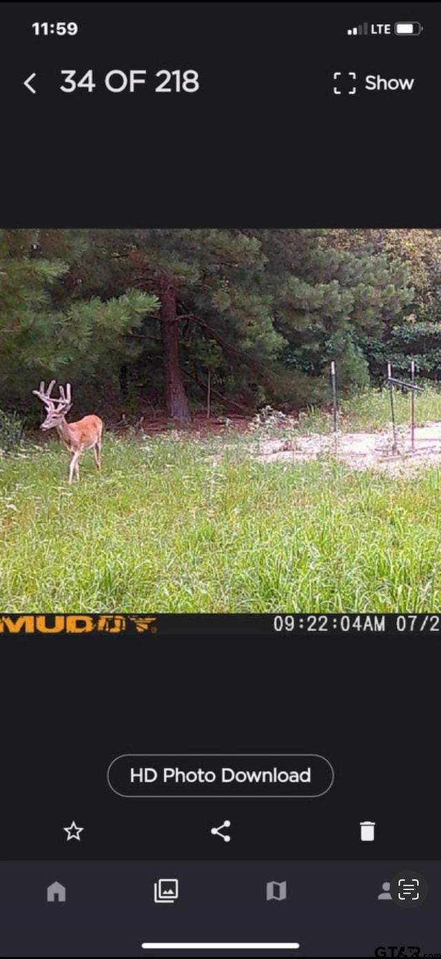 2008 Crk 3230, Quitman, TX 75783 - photo 20