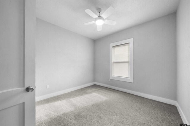 13769 County Road 431, Tyler, TX 75706 - photo 40