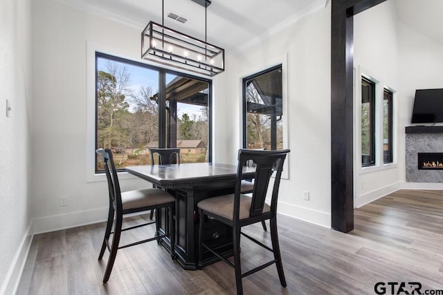 dining space featuring dark hardwood / wood-style floors and a wealth of natural light