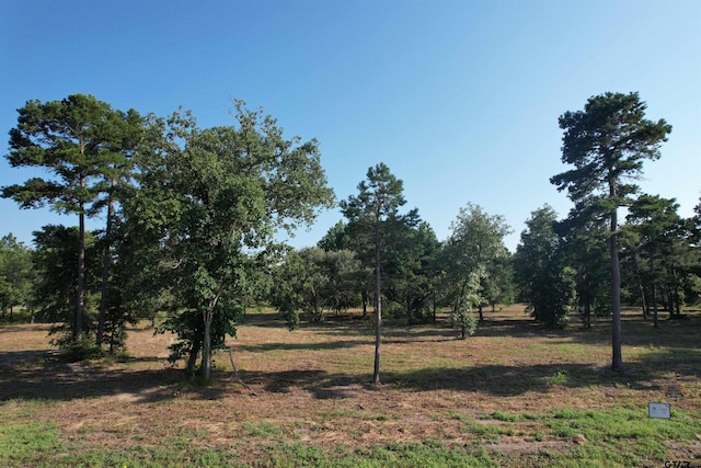3145 Shadow Pine Dr, Larue, TX 75770