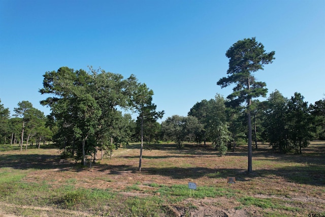 3145 Shadow Pine Dr, Larue TX, 75770 land for sale