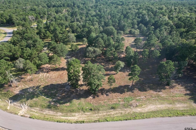 3145 Shadow Pine Dr, Larue, TX 75770