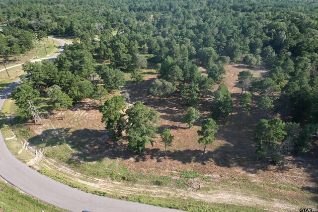 3145 Shadow Pine Dr, Larue, TX 75770