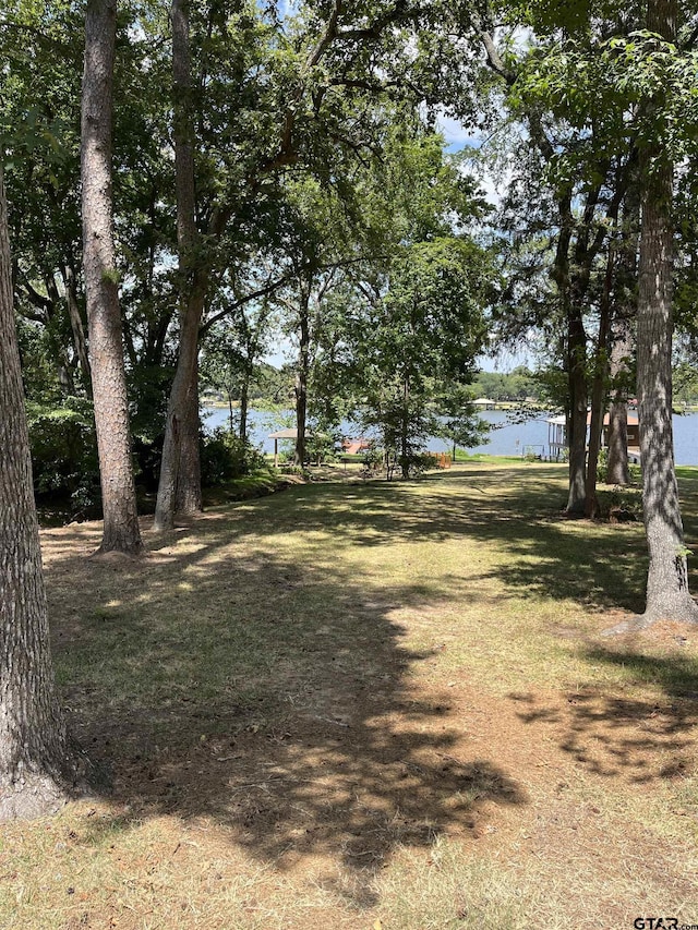 view of yard with a water view