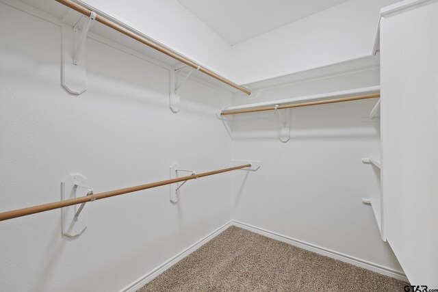 spacious closet with carpet floors