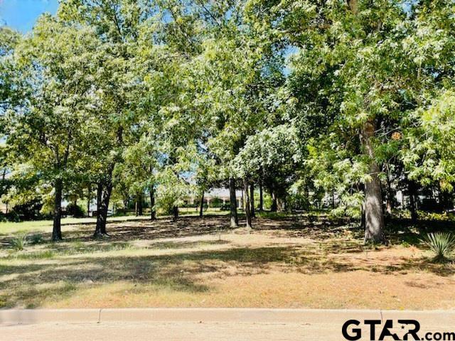 2835 Stewart Way, Tyler, TX 75709