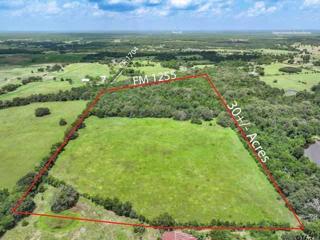 30ACRES Fm 1255, Grand Saline, TX 75140 - photo 11
