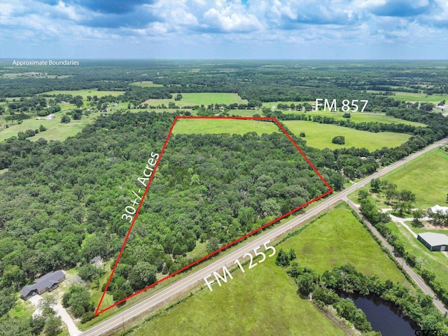 30ACRES Fm 1255, Grand Saline, TX 75140 - photo 1