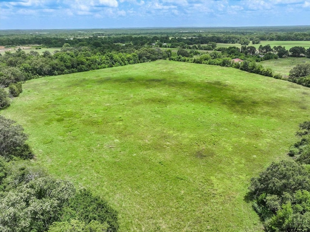 30ACRES Fm 1255, Grand Saline, TX 75140 - photo 8