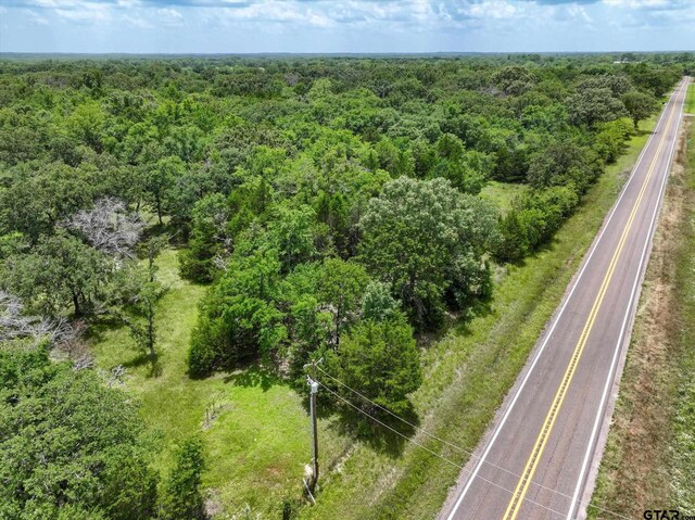 30ACRES Fm 1255, Grand Saline, TX 75140 - photo 4