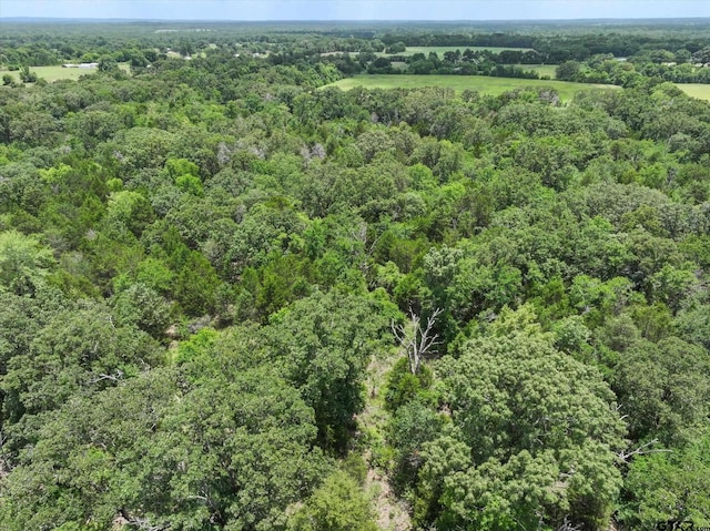 30ACRES Fm 1255, Grand Saline, TX 75140 - photo 6