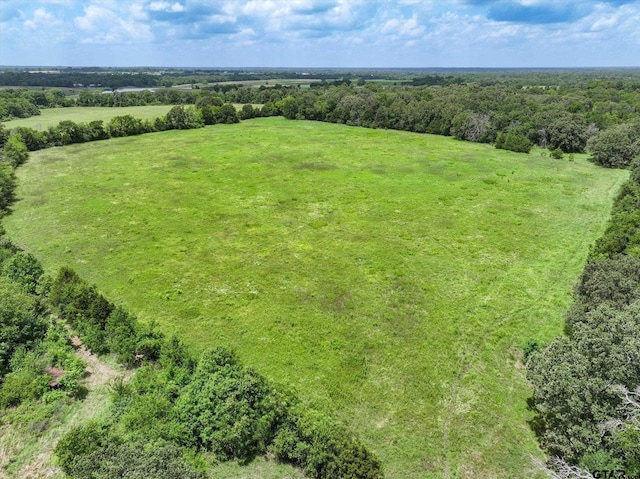 30ACRES Fm 1255, Grand Saline, TX 75140 - photo 10
