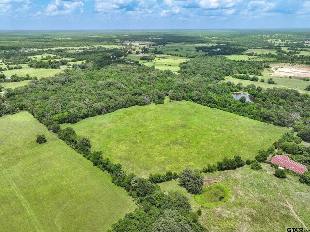 30ACRES Fm 1255, Grand Saline, TX 75140 - photo 9