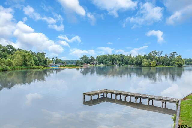310 N Lake Dr, Murchison, TX 75778
