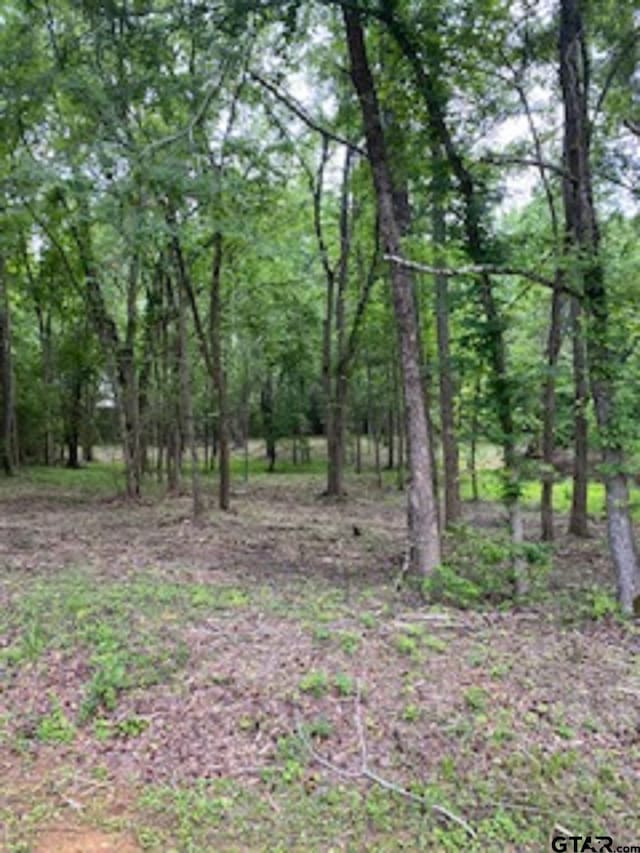 14113 E Ridge Rd, Arp TX, 75750 land for sale