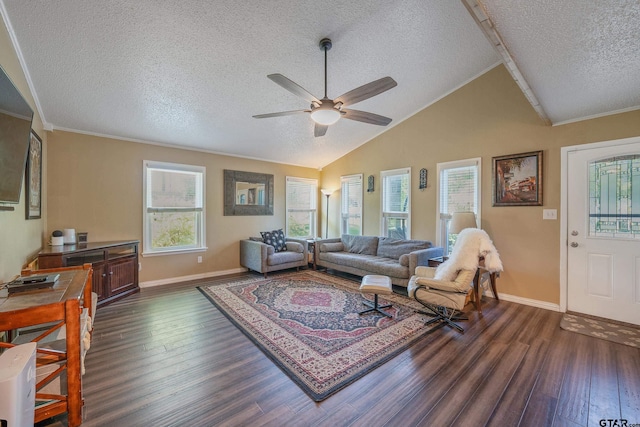 living area with dark wood-style flooring, baseboards, plenty of natural light, and a textured ceiling