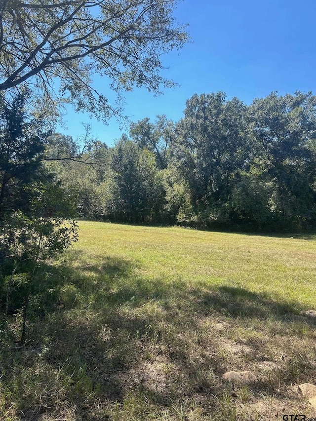 Listing photo 3 for TBD Fm 607 S, Murchison TX 75778