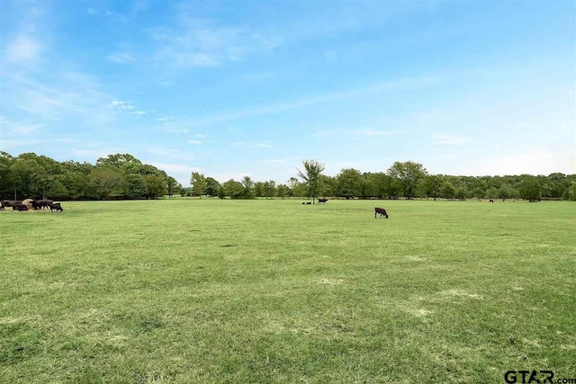 15250 Fm 858, Athens, TX 75752 - view of community featuring a yard and a rural view