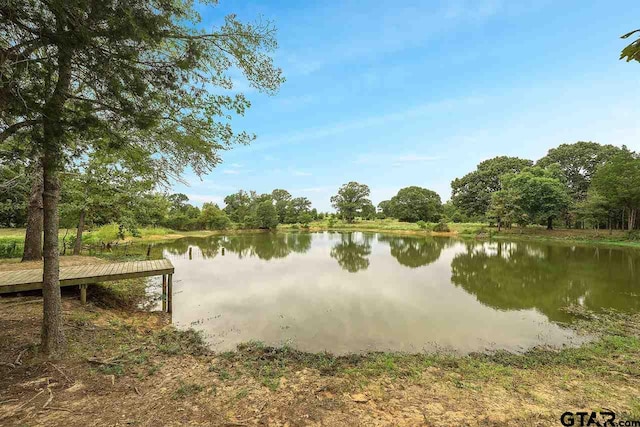 15250 Fm 858, Athens, TX 75752 - water view