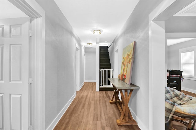 hall featuring hardwood / wood-style floors