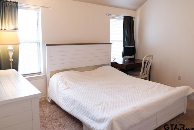 carpeted bedroom with multiple windows