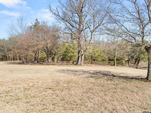 11087 Wolverine Rd, Pittsburg, TX 75686 - view of green lawn