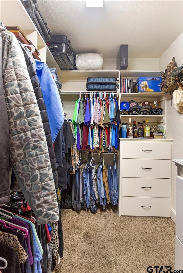 1009 Stagecoach Bnd, Bullard, TX 75757 - spacious closet with carpet