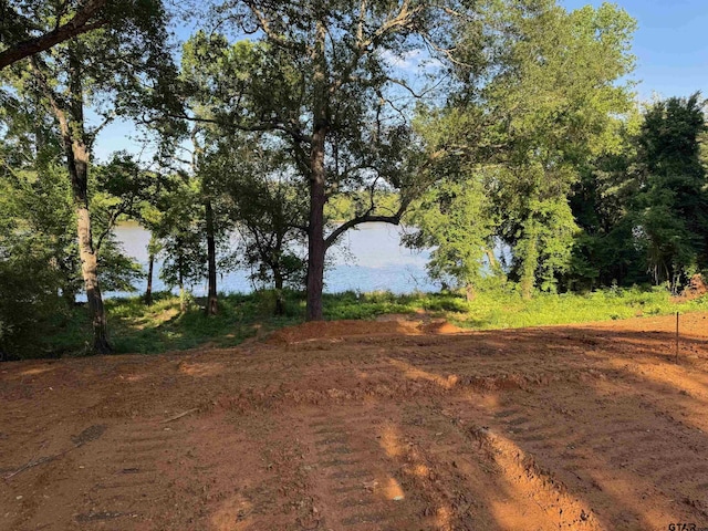 656 N Lake Dr, Gladewater, TX 75647