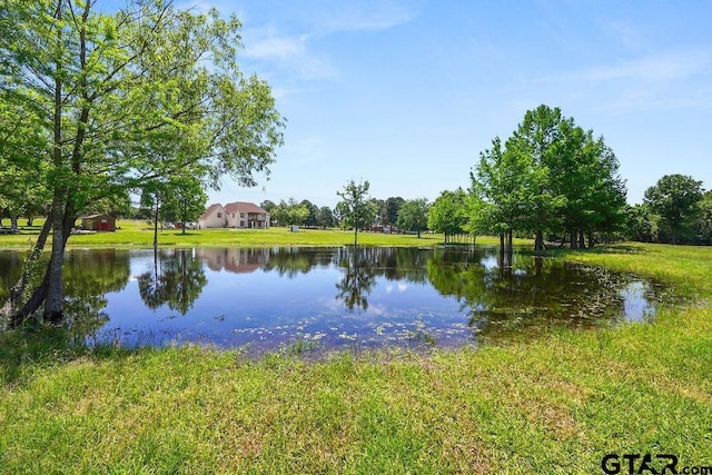 5900 Fm 858, Ben Wheeler, TX 75754 - water view