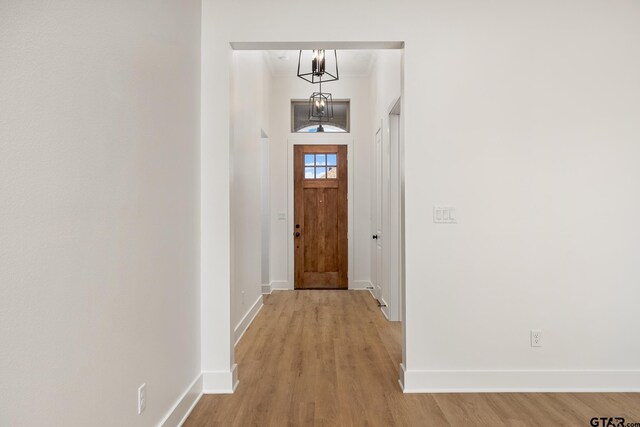 doorway to outside with crown molding and light hardwood / wood-style flooring