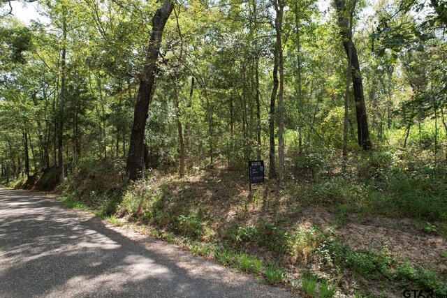 Listing photo 2 for 14.385ACRES SE County Road 3470, Winnsboro TX 75494