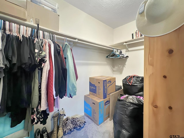 spacious closet with light colored carpet