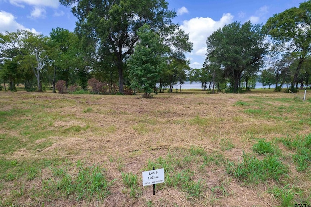 TBDLOT5 Carolina Way, Mount Pleasant, TX 75455 - photo 4