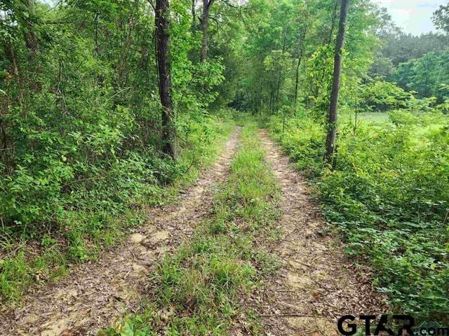 TBD Wild Daisy Rd, Ore City, TX 75683