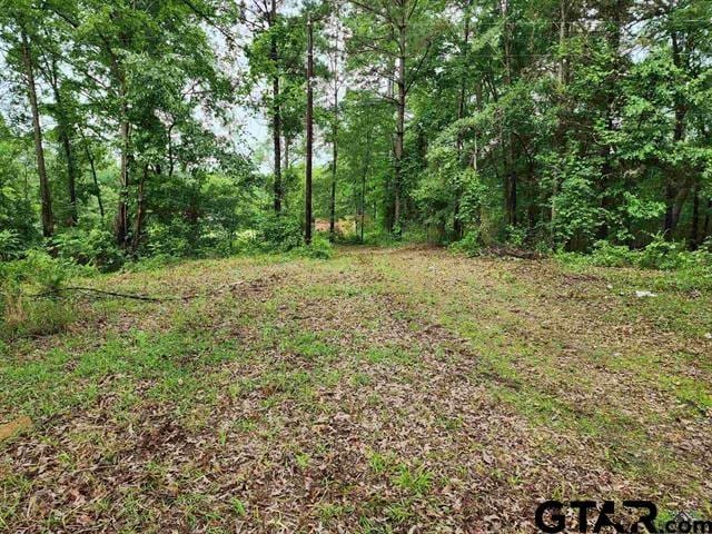 TBD Wild Daisy Rd, Ore City, TX 75683