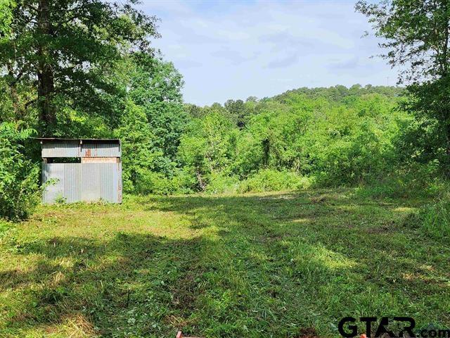 TBD Wild Daisy Rd, Ore City, TX 75683