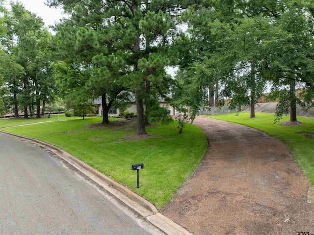 106 Wesley Dr, Palestine, TX 75801 - photo 45