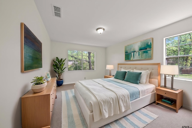 2110 Macbeth Ct, Tyler, TX 75703 - carpeted bedroom featuring visible vents, baseboards, and multiple windows