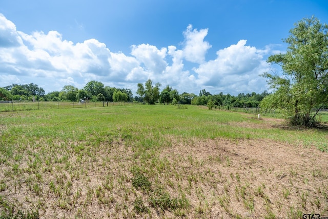 TBD18202 E Bailey Ave, Troup, TX 75789 - photo 1