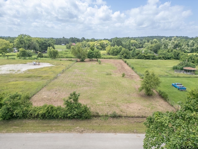 TBD18202 E Bailey Ave, Troup, TX 75789 - photo 9