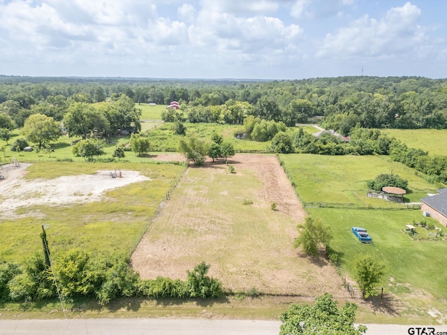 TBD18202 E Bailey Ave, Troup, TX 75789 - photo 21