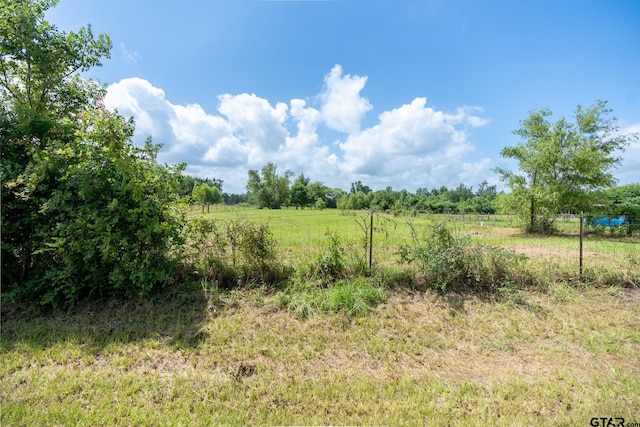 TBD18202 E Bailey Ave, Troup, TX 75789 - photo 2